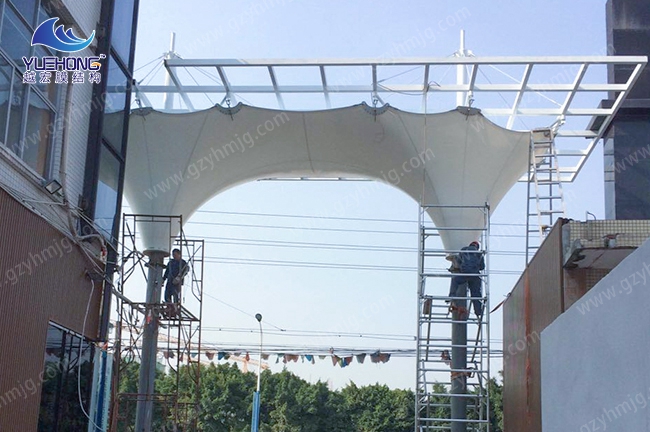 1582365069482804.jpg 1 (4).jpg