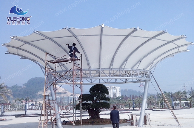 1582365681264858.jpg 1 (3).jpg